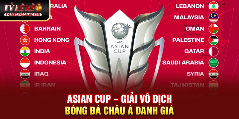 Asian Cup - Giải Đấu Vô Địch Bóng Đá Châu Á Đỉnh Cao 37 Asian Cup – Giải vô địch bóng đá châu Á danh giá